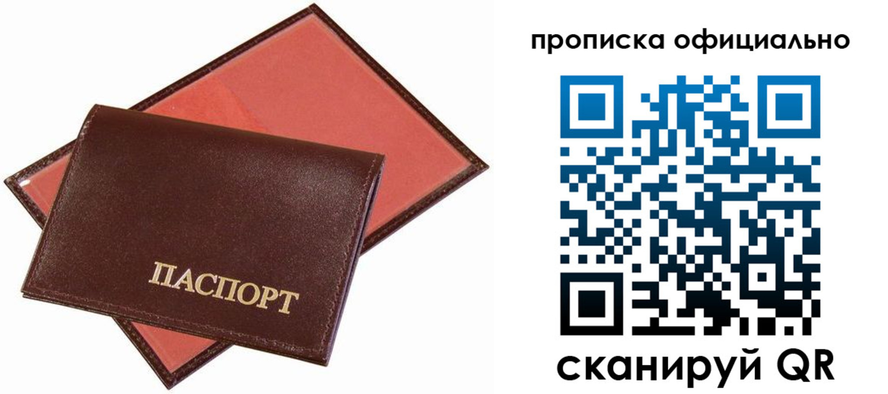 временная регистрация гарантия в Кашине